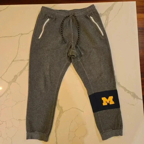 Nike Michigan Wolverines Mens Charcoal AV15 Sweatpants Joggers Size Medium - Picture 1 of 11